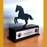 Peshawar | Horse Souvenir Shield for Army FC and Police in Peshawar, Islamabad, Lahore, Karachi, Faisalabad, Risalpur, Parachinar, Nowshera, Mardan, Sargodha, Quetta, Pakistan