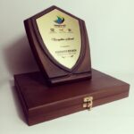 Shields and awards with box