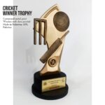 Cricket 3D trophy in Peshawar